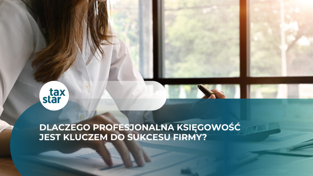 profesjonalna księgoowść